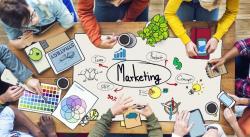 Học và làm marketing có khó không?