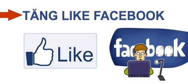dich-vu-tang-like-facebook-fanpage